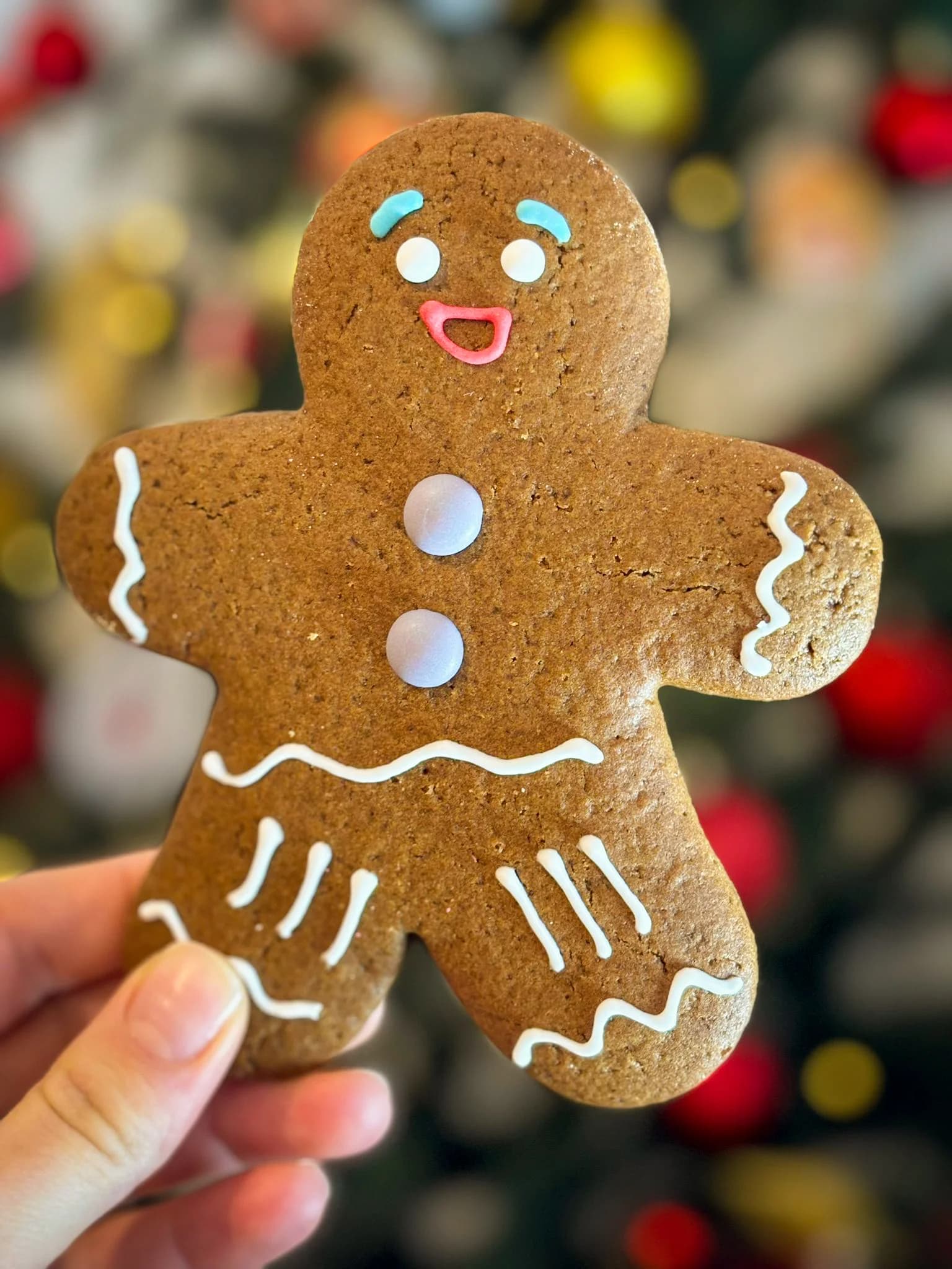 Christmas holiday decorated cookies