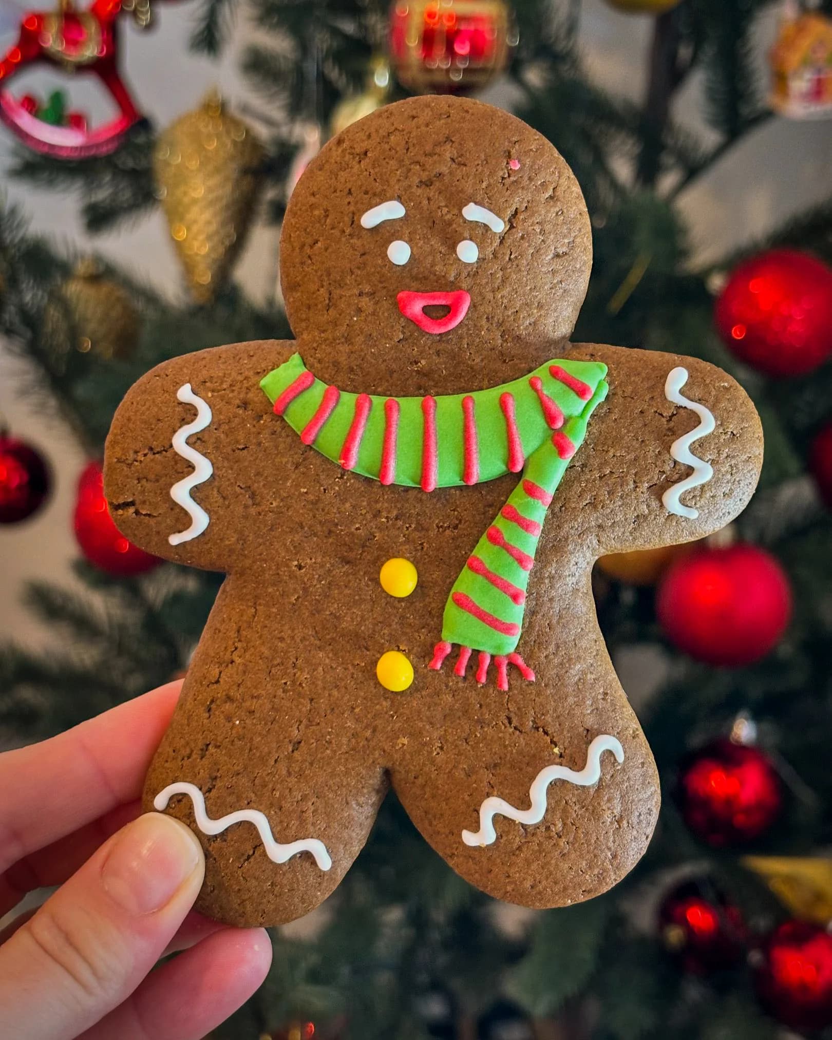Christmas festive decorated cookies