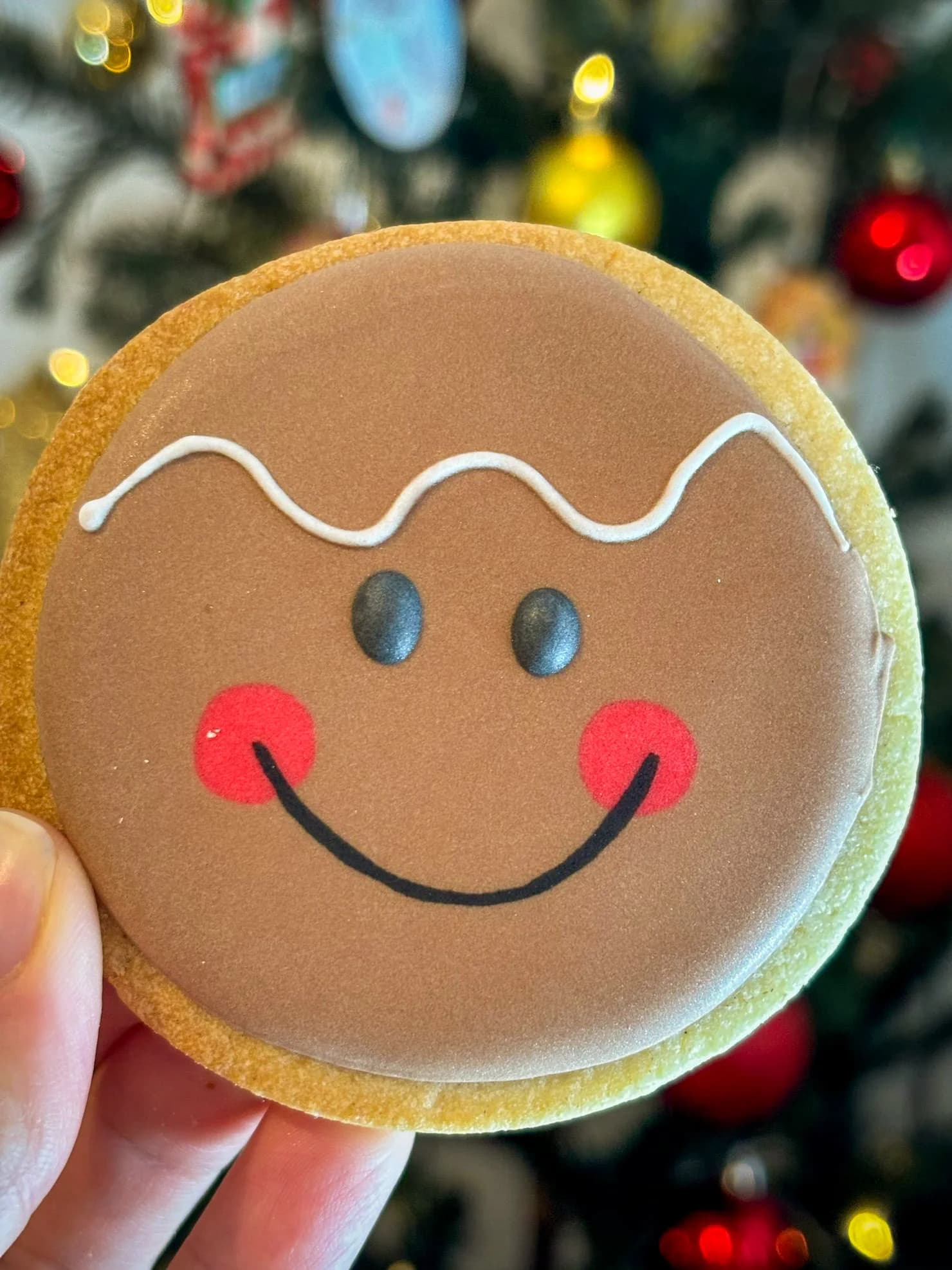 Christmas party decorated cookies