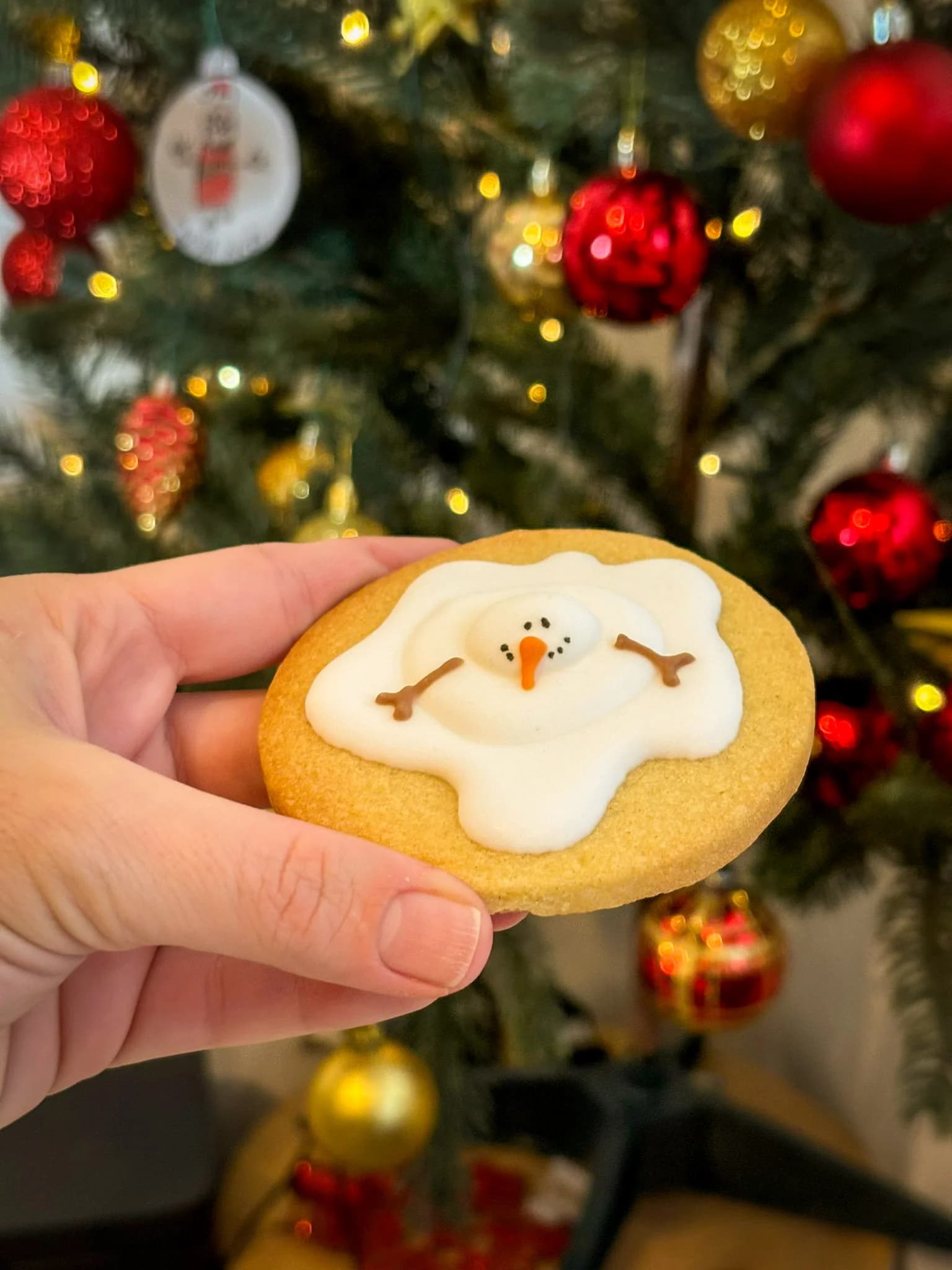 Christmas themed holiday cookies