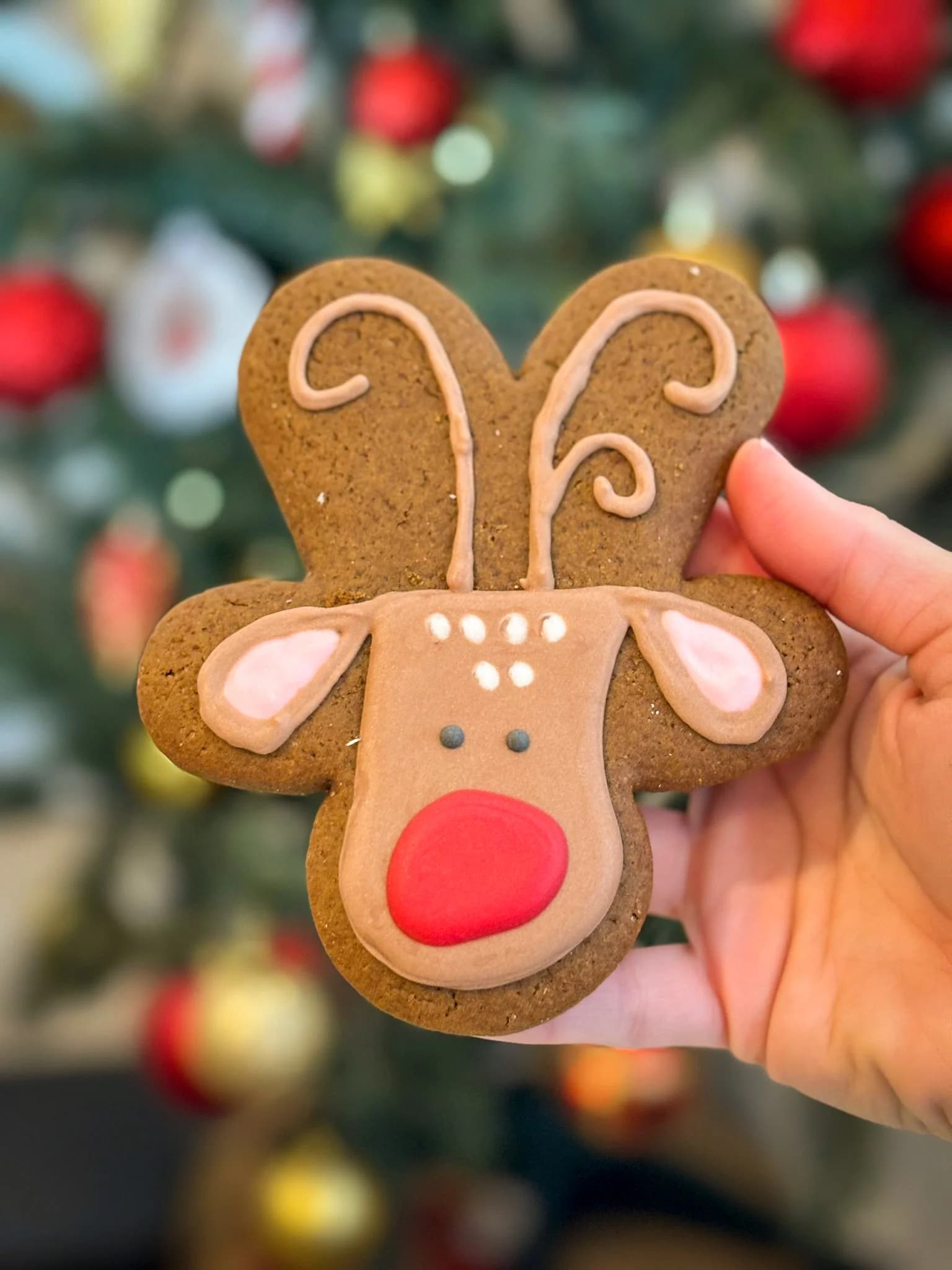 Christmas decorated festive cookies