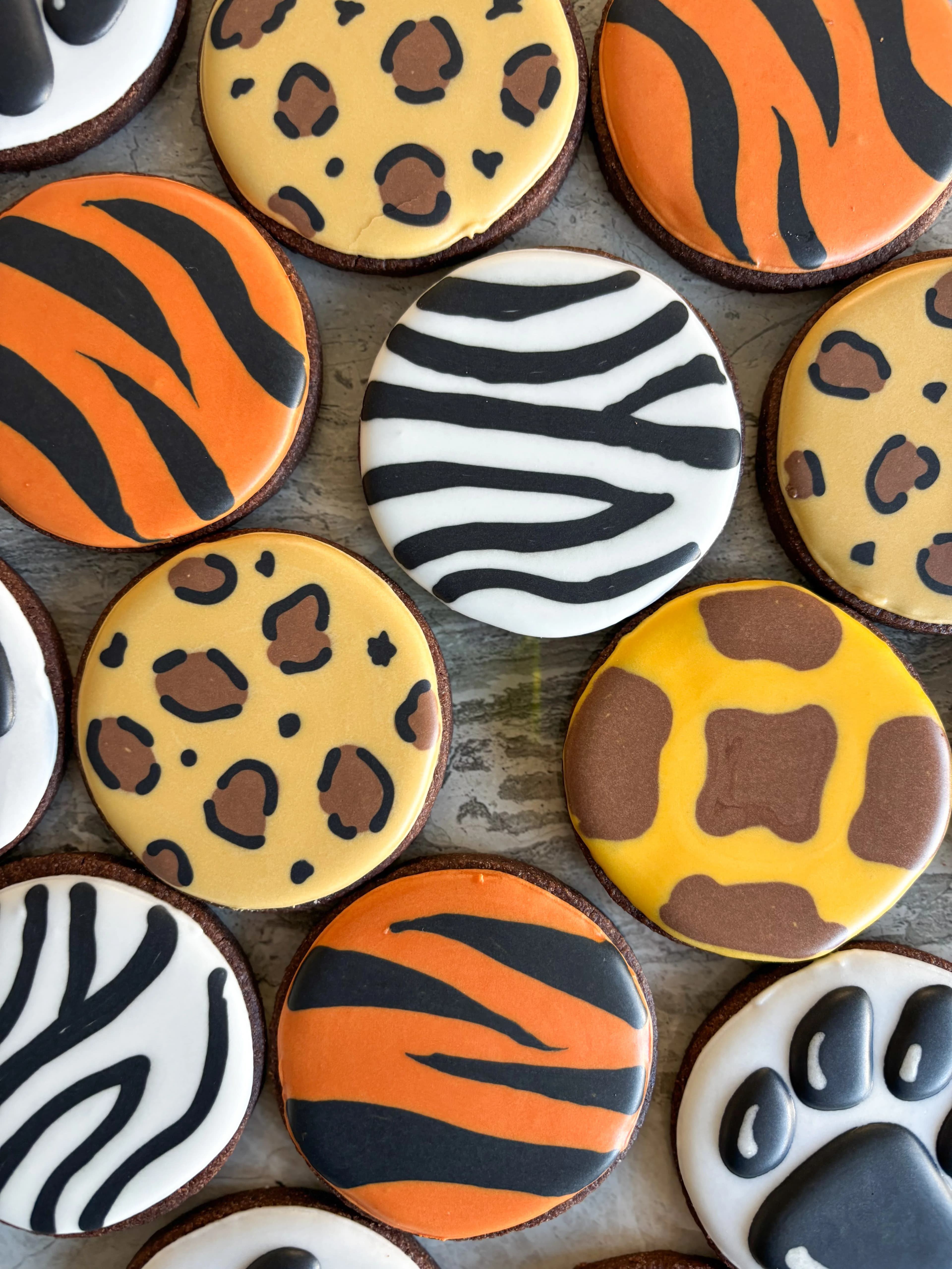 Safari themed animal cookies